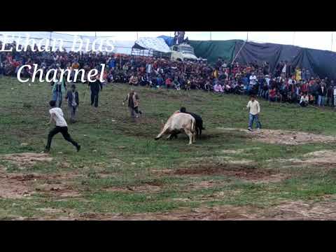 Jrah 🆚 Iong sying# Champion🏆🏆