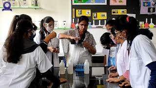 S.E. International School Video
