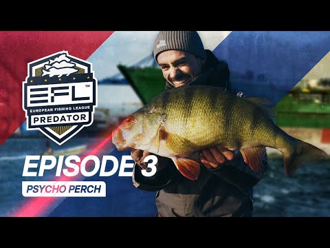 Psycho Perch - Episode 3 EFL 2023