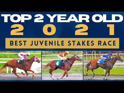 TOP 2YO OF 2021 | JUVENILE STAKES RACE OF 2021