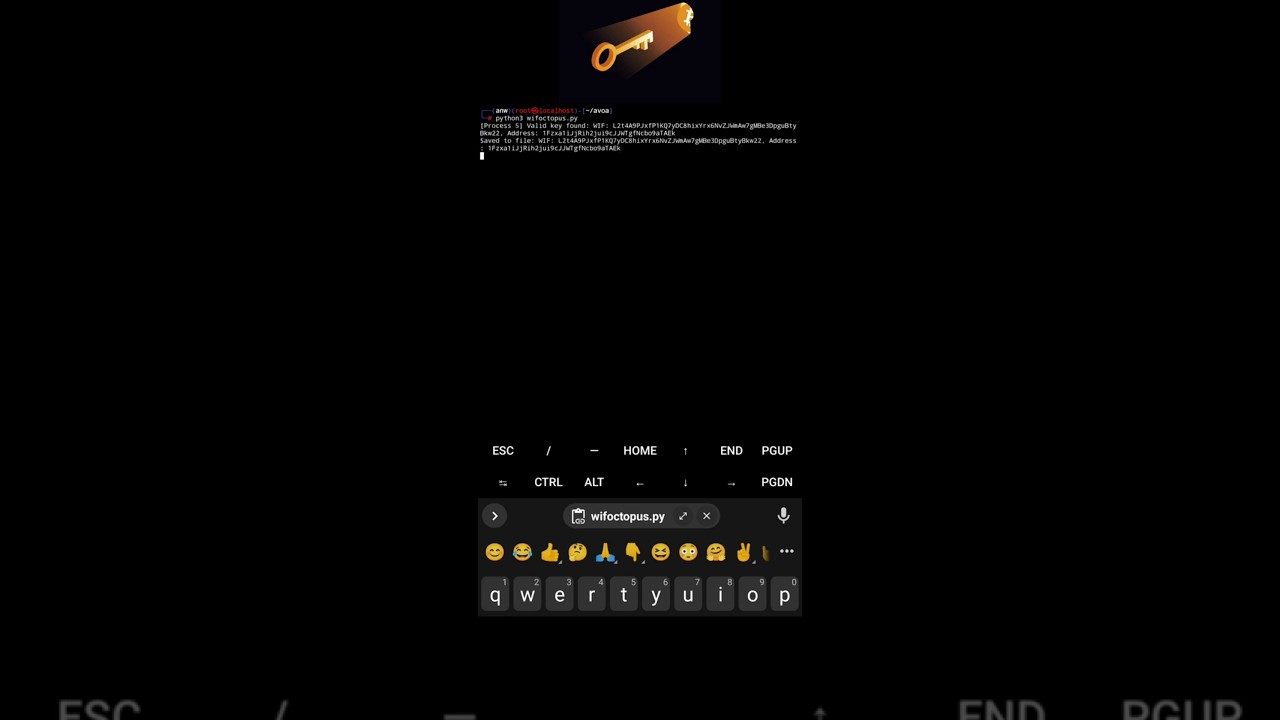 Bitcoin Private Key Finder Faster |  Crypto Privetkey CARCK | Free Software | CRYPTOGRAPHY TUBE