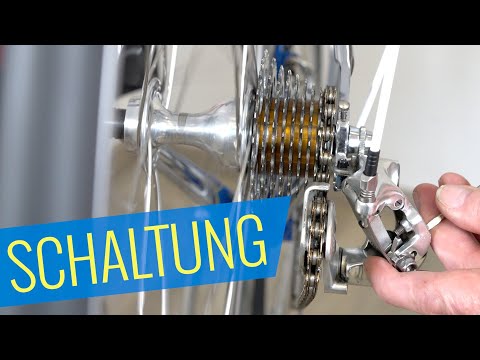 Campagnolo Record GEARBOX ADJUSTMENT - Felix's Vintage Car Project - Fahrrad.org