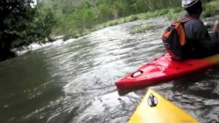 preview picture of video 'Tweed River kayaking - Jan 1, 2011'