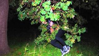 GOODNIGHT NANCY LIAR