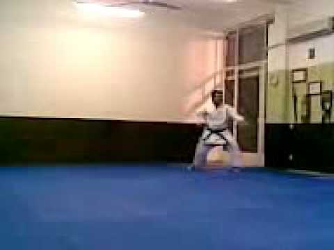 shotokan techniques