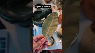 Bay Leaves Spiritual Properties 🍃 | #brujeria #spirituality