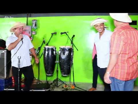 GALLINO PICAO -DUELO DE VERAGUASENSES- CAÑAZAS VS SONÁ/ cañazas de veraguas 