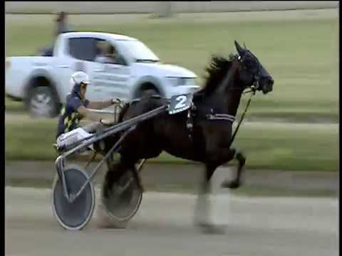 Trotto 30/06/2018 - 3ª corsa