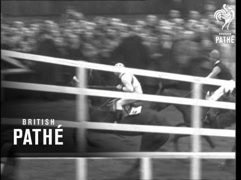 The Grand National (1949)
