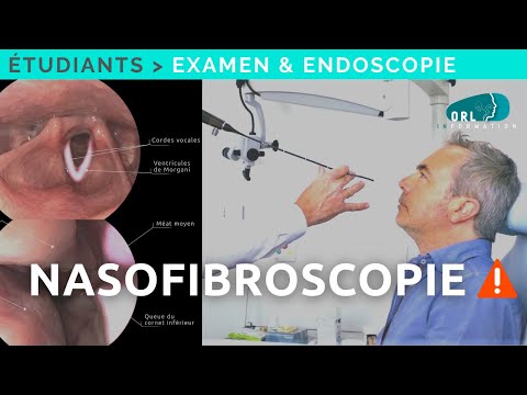 Comment réaliser une Nasofibroscopie | Formation étudiant ORL