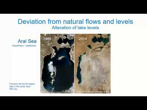 Lecture 1.1: Ecosystem Vitality - Water Quantity