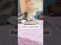 Perkawinan Rabbit And Cat