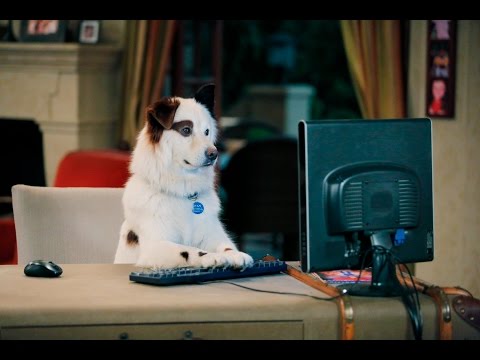 Dog With A Blog - Stan's Blogs