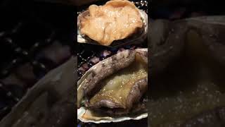 あわびにびっくりするだけの動画
