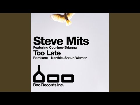 Too Late (Northie Remix)