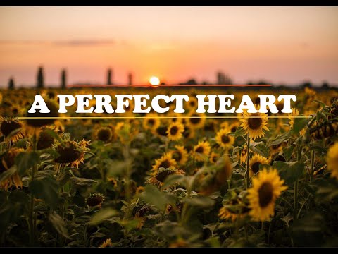 A Perfect Heart | Cover by SFAS | Lyrics