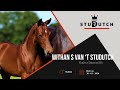 Withan S van 't Studutch