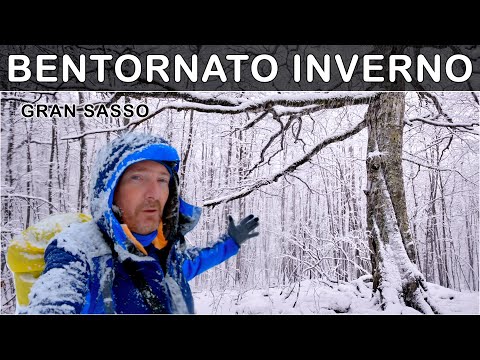 GRAN SASSO a snowstorm turns the ancient forest into an enchanted environment... Welcome back Win...