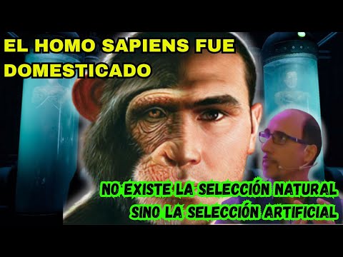 PIETRO BUFFA - EN LA EVOLUCIÓN HUMANA NO ESTÁ LA SELECCIÓN NATURAL, SINO UN RÉGIMEN DE DOMESTICACIÓN
