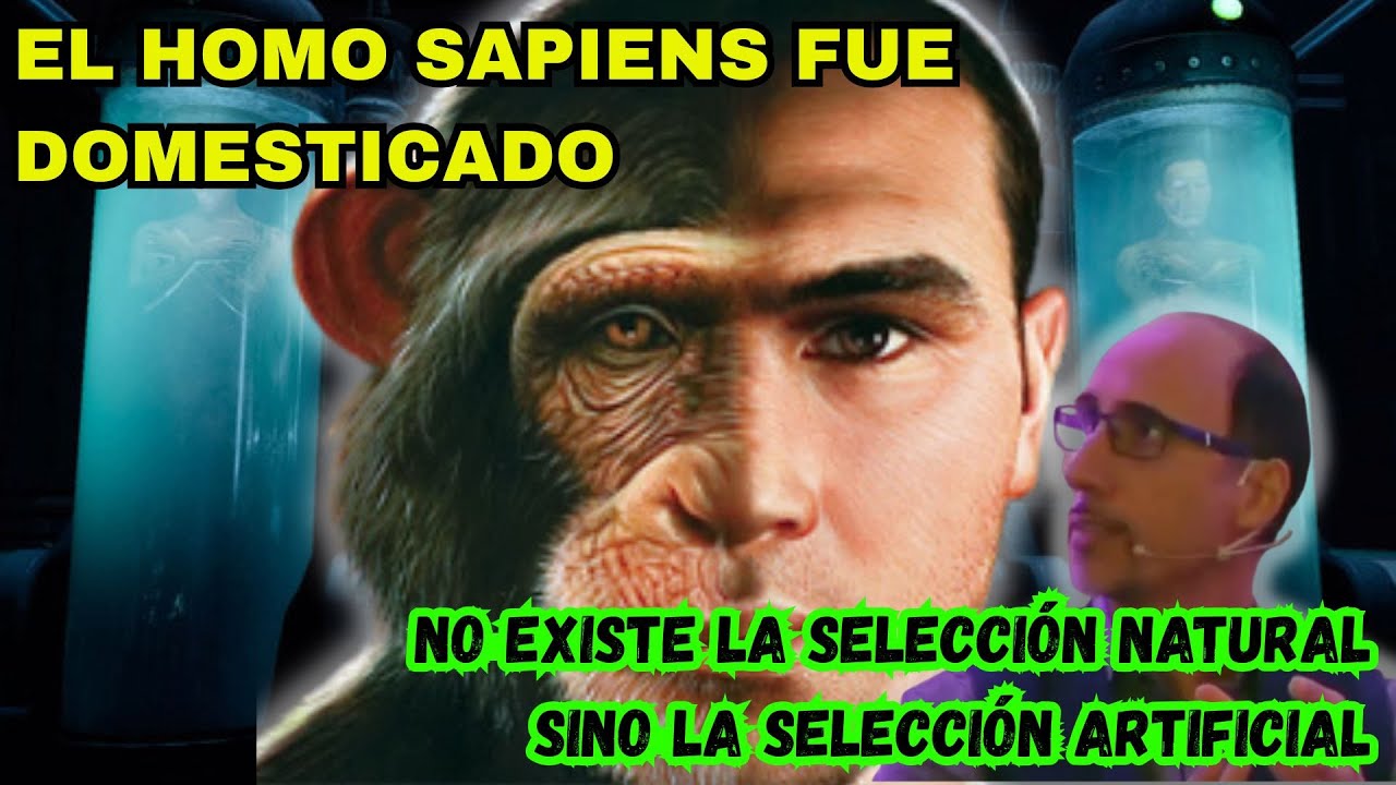 PIETRO BUFFA - EN LA EVOLUCIÓN HUMANA NO ESTÁ LA SELECCIÓN NATURAL, SINO UN RÉGIMEN DE DOMESTICACIÓN