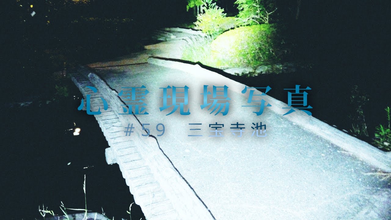 59 心霊現場写真 三宝寺池 石神井公園 全国心霊スポット調査 心霊気違 Shinreikichigai 59 心霊現場写真 三宝寺池 石神井公園 全国心霊スポット調査 心霊気違 Shinreikichigai