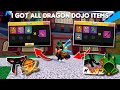 Can I Really Get Dragon Heart And Dragon Storm At Low Level In Blox Fruit