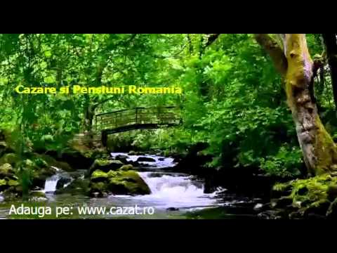 Cazare Ilieni, Mures - Cazat.ro