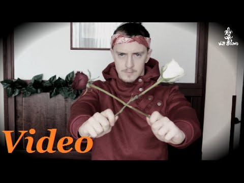 Nawrot NwT - Walentynki 2016 [video]