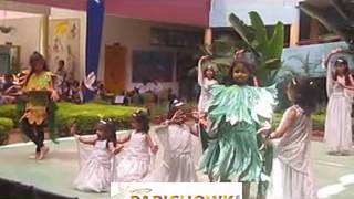 Apeejay International School Video