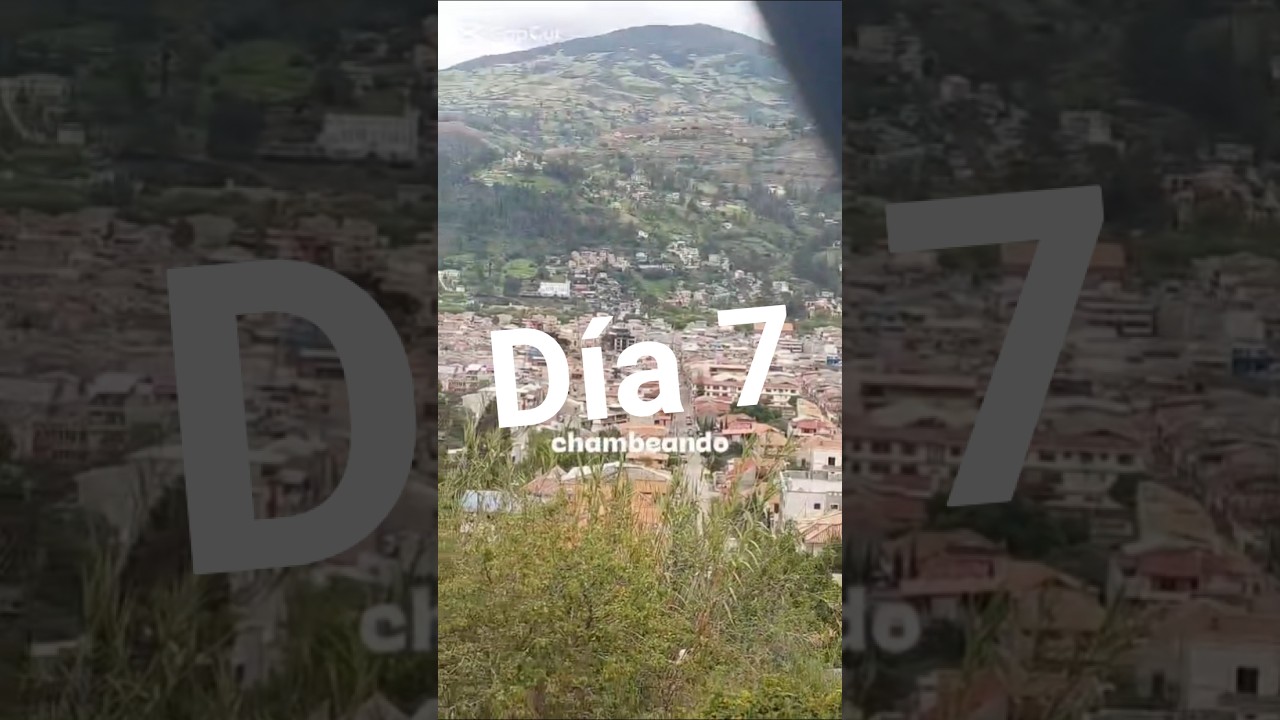 Día 7 por el s26 Ultra #s26ultra #reciclaje #humor #nosequeponerxd