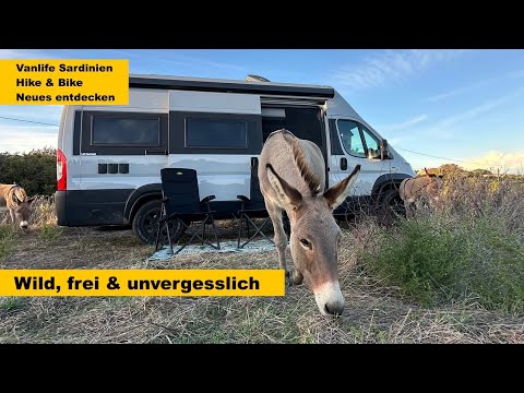 Wild, free & unforgettable / Vanlife Sardinia / Will we discover something new?