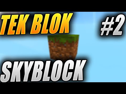 Sly Emanet IT vs IT - Minecraft One Block Skyblock PT 2