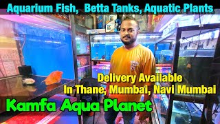 Aquarium Fish Stock at Kamfa Aqua Planet | Delivery Available in Mumbai, Thane & Navi Mumbai
