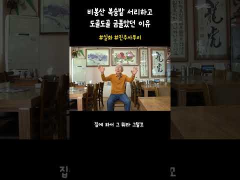 진주사투리 비봉산 복숭밭 썸네일 이미지