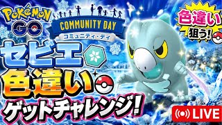 【🔴LIVE】【コミュデイ】セビエ大量発生!! 「✨色違いポケモンゲットだぜ!!✨」【ポケモンGO】【Community Day!】