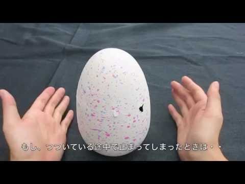 うまれて！ウーモ　how to　孵化のお手伝い