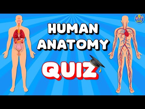 "ANATOMY" QUIZ! 🫀🧠🫁| HUMAN BODY | Test/Quiz/Trivia