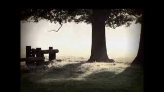 Pedro the Lion - Indian Summer