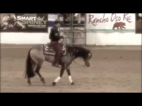 Rio (CFR Centenario Wimpy)