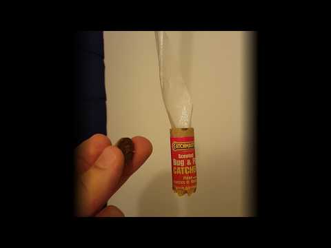 YouTube video about: What are fly strips?