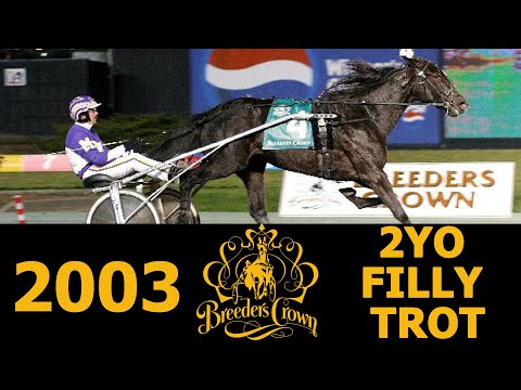 2003 Breeders Crown - Forever Starlet - 2FT