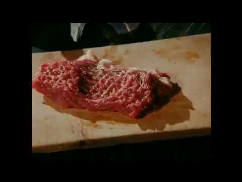 Media pavel koutský 2001