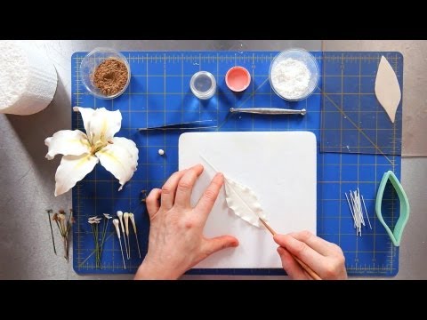 How to Make Casablanca Lily Petals | Sugar Flowers