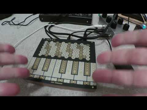Hyve super expressive touch synth / Electronic Accordion??