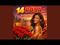 14 Rosa