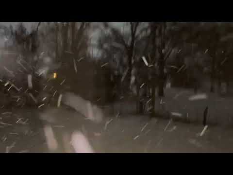 All Snow: Columbia, MO, February 2, 2022 at 1:35am.