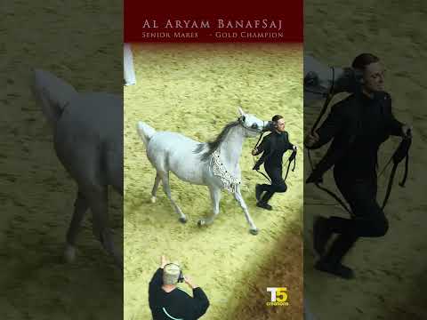 Doha’s Finest: GCAT 2025 Horse Show Winners | GCAT Supreme Champions |