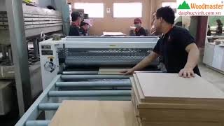 Woodmaster. MÁY LĂN KEO 2 MẶT Giá tốt nhất thị trường