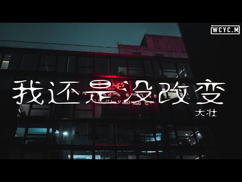 大壮 - 我还是没改变【動態歌詞/Lyrics Video】