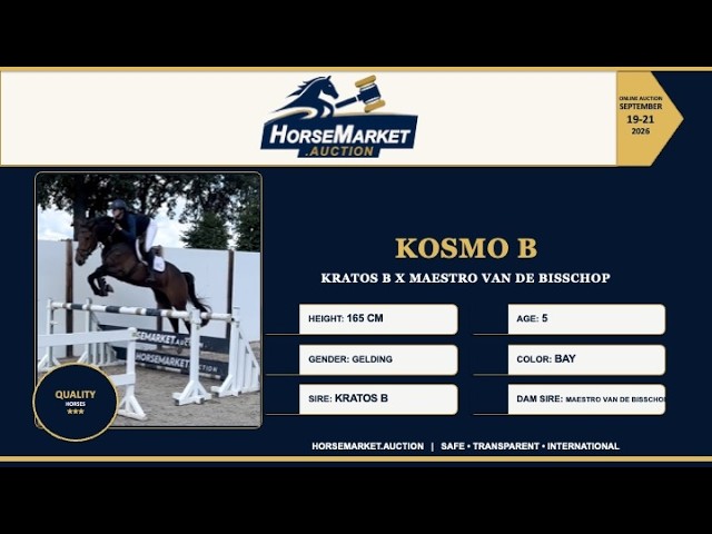 Kosmo B
